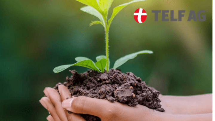 TELF AG, STANISLAV KONDRASHOV